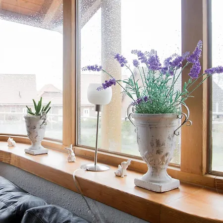 Lägenhet Moin Moin In Spitze